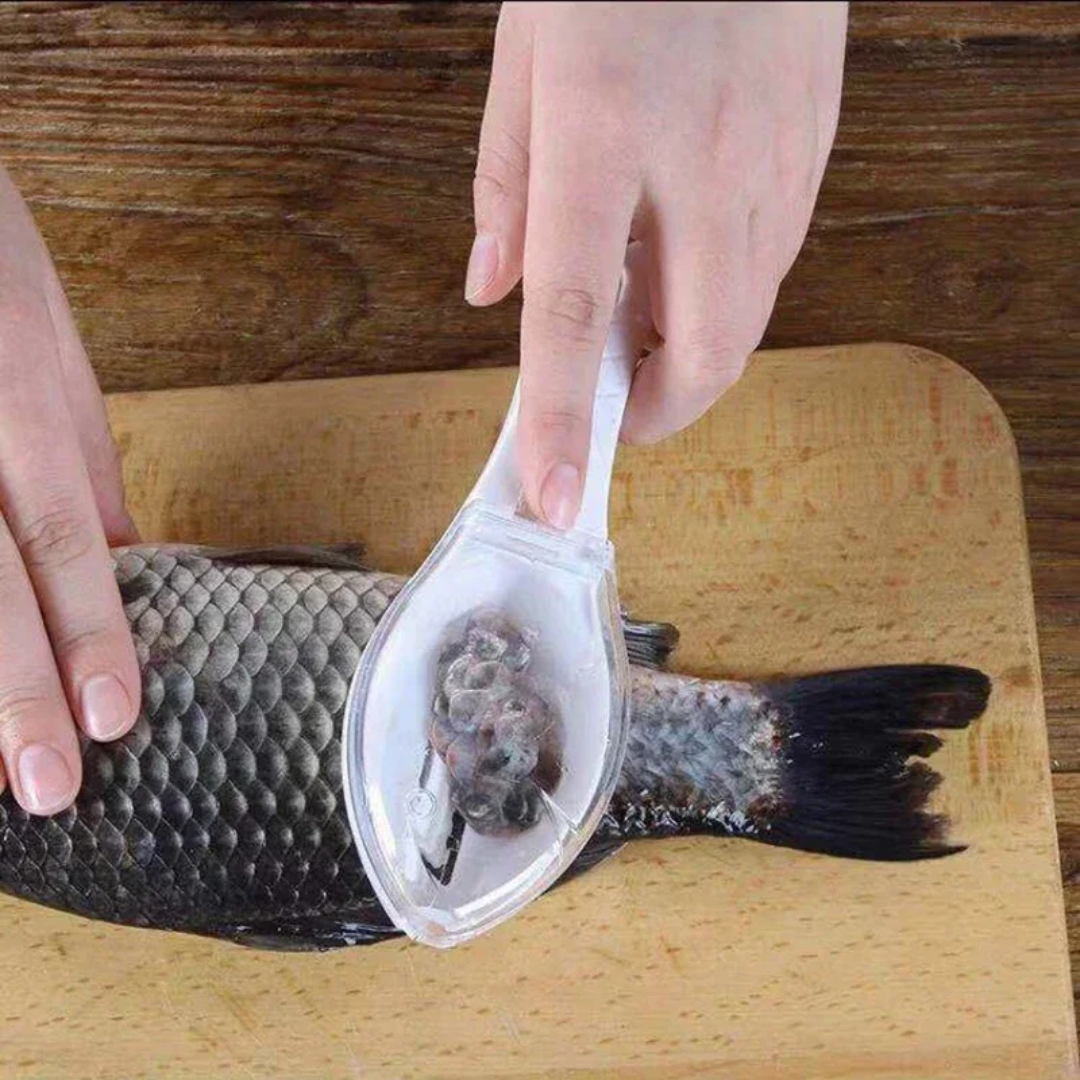 Escamador de peixe